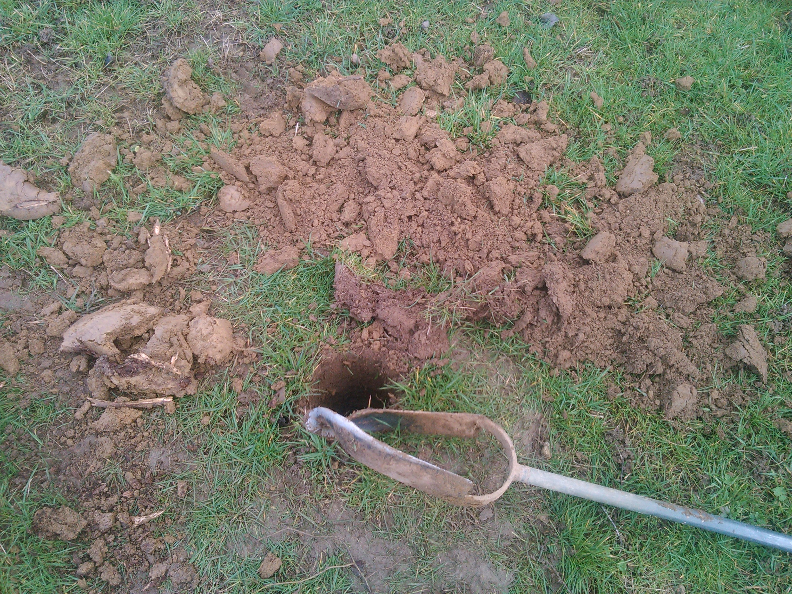 Etude de sol pour ANC