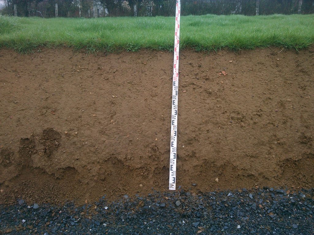 Coupe de terrain (observation pédologique)