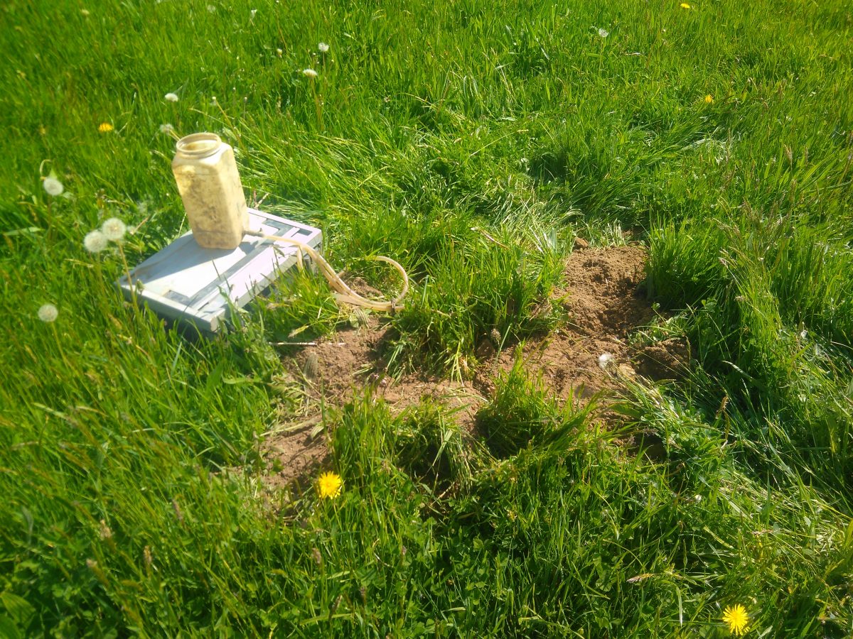 COVID-19 : Étude quand même !