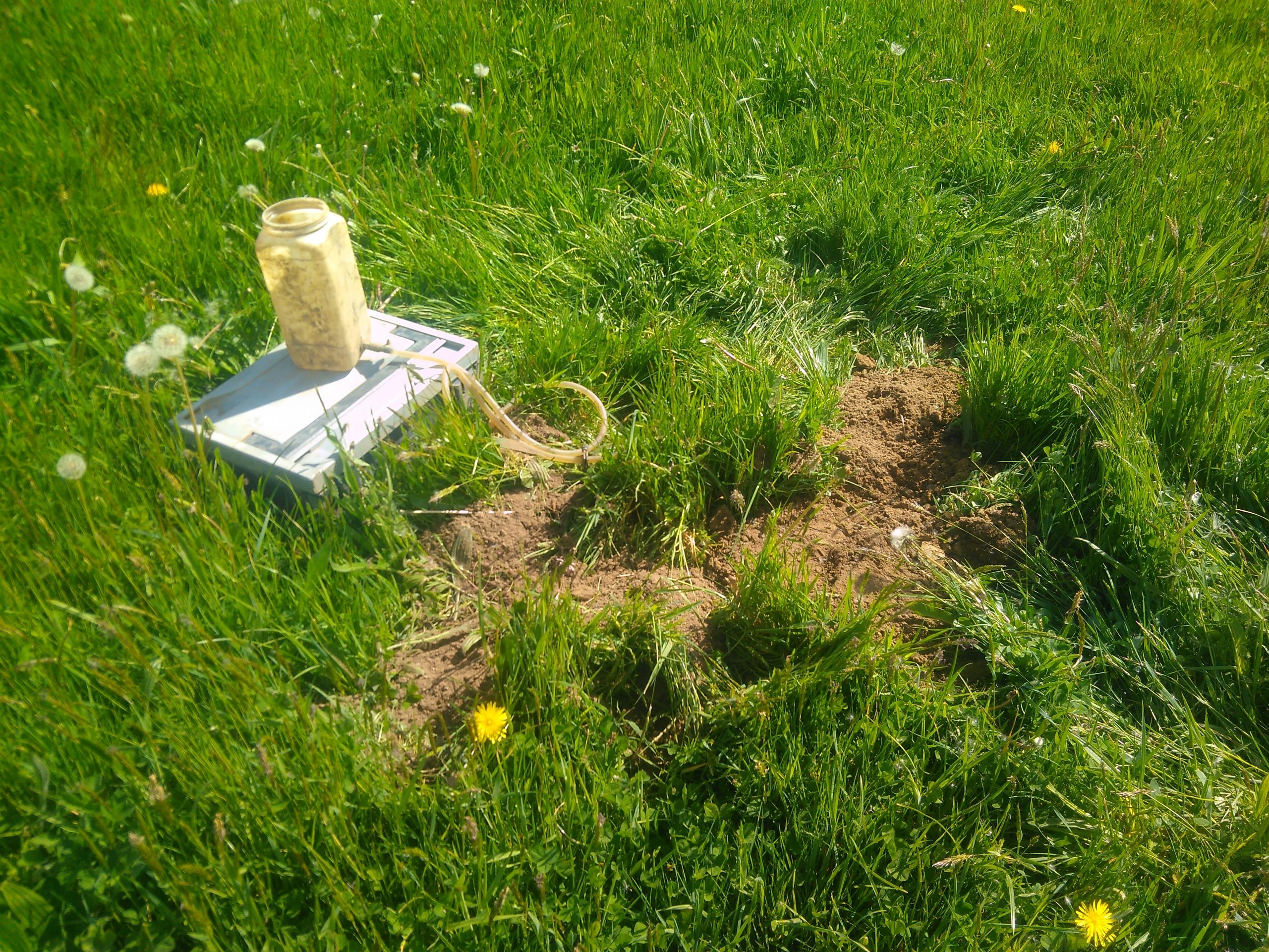 COVID-19 : Étude quand même !