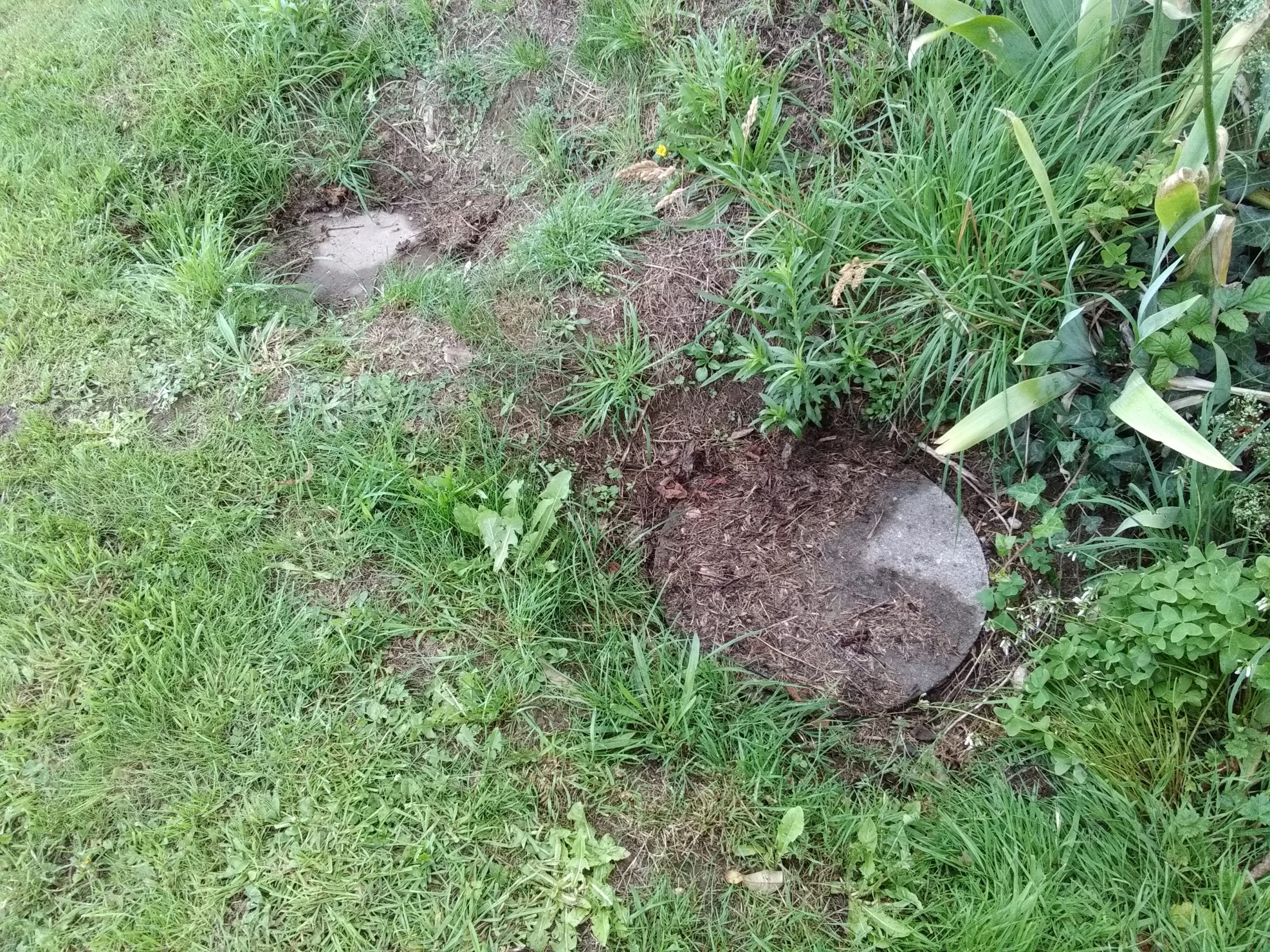 Étude sol : Réhabilitation