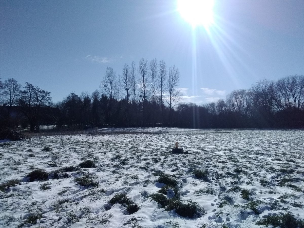 Étude Assainissement à Gratot 50200