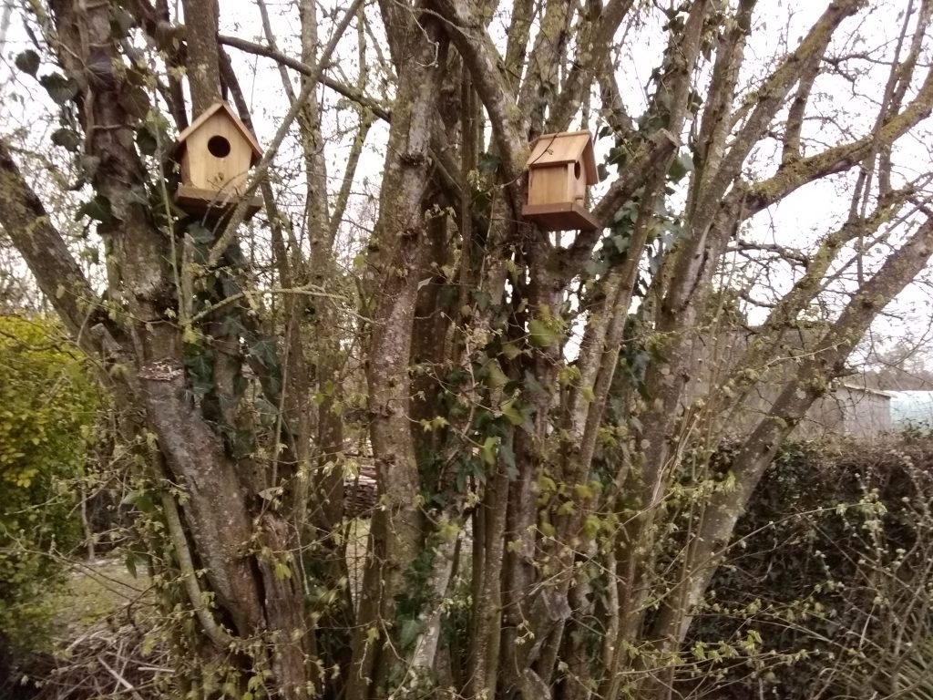 Une part de nature chez AQUAsoluces
