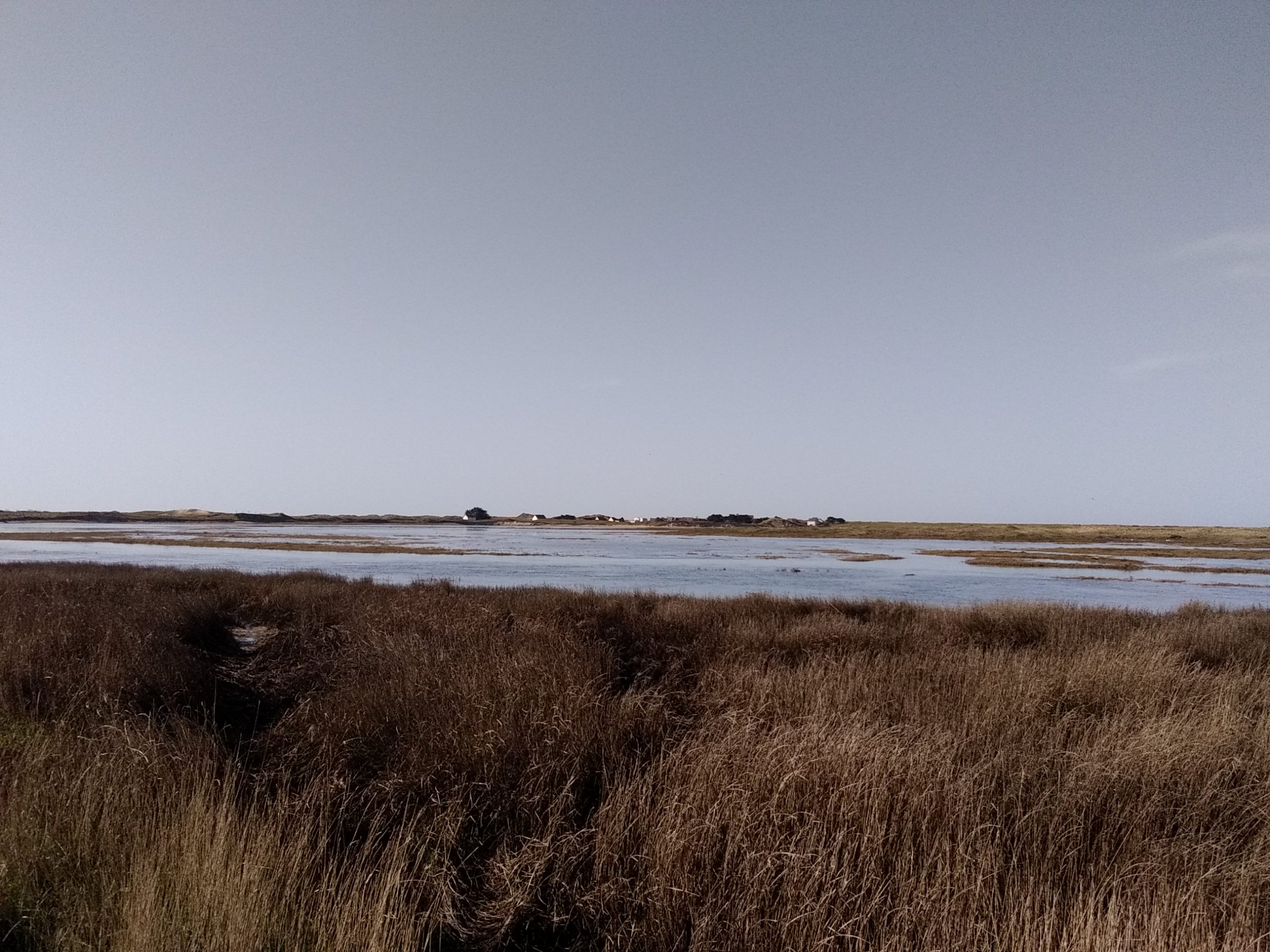 Cotentin : Les grandes marées