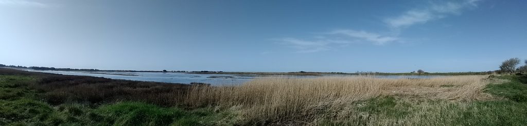 Le Havre de Surville, dans la Manche (50)