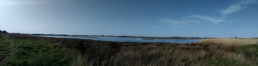 Le Havre de Surville (50)