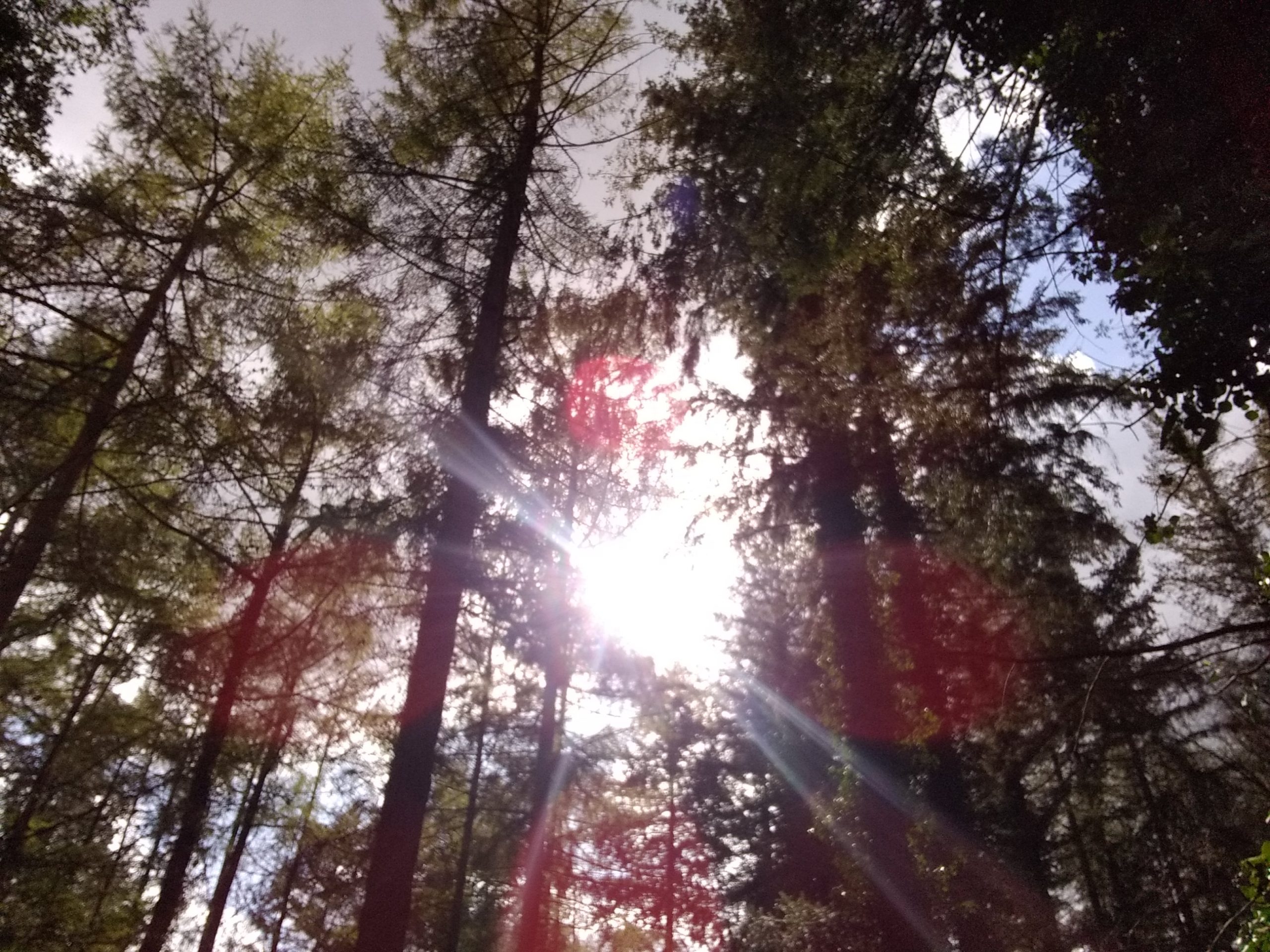 Assainissement et Produits Ménagers