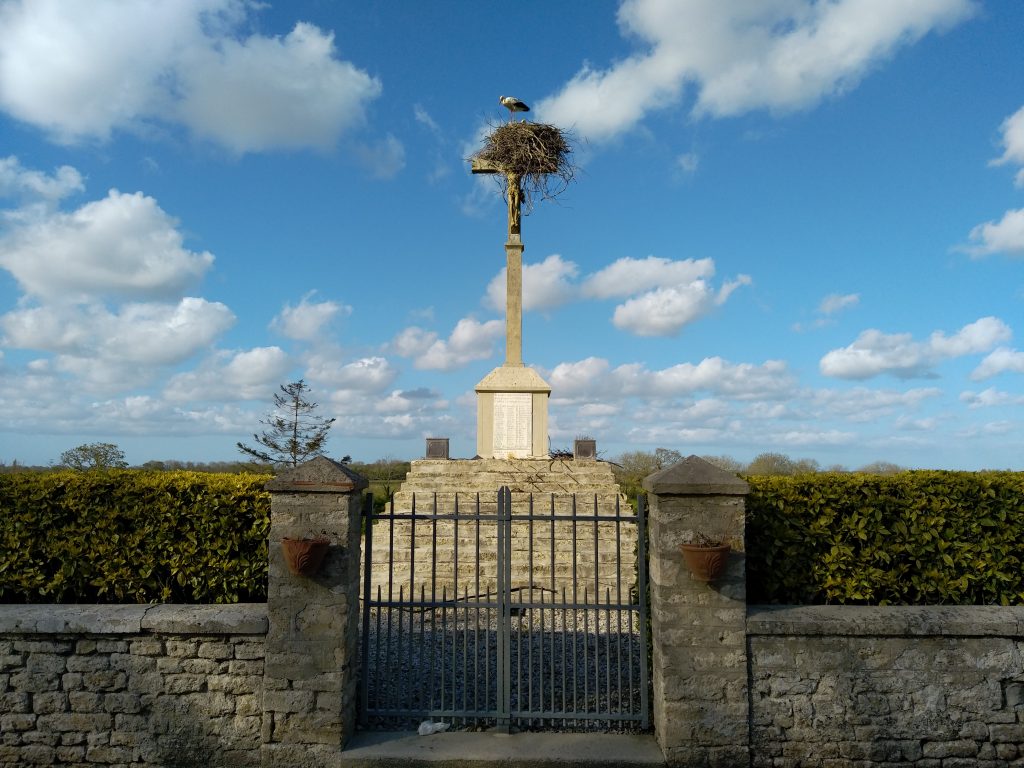 Cigognes Beuzeville-la-Bastille