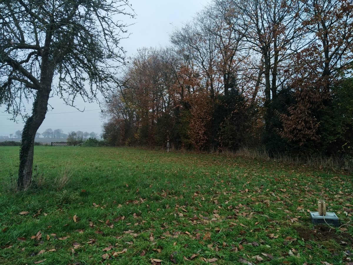 Quand on peut, on veut !