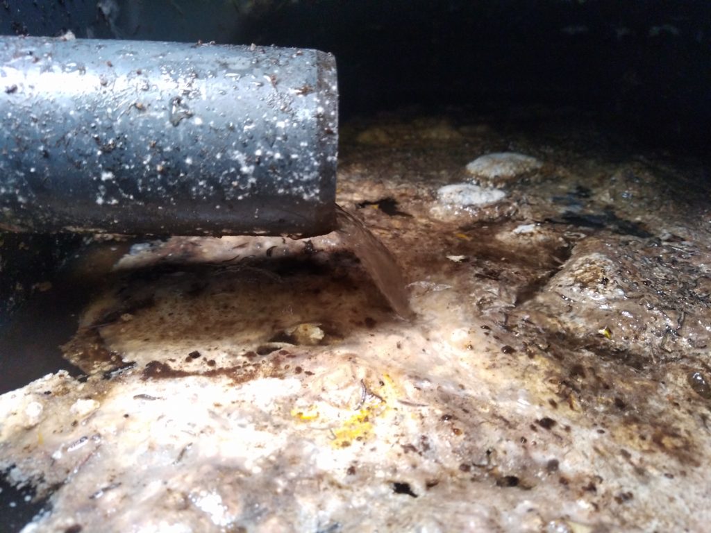 Recirculation Micro-station SEBICO AQUAmeris AQ-5P