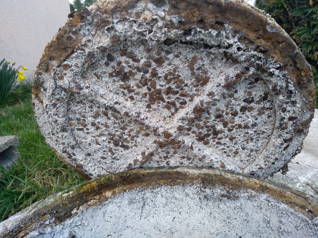 Fosse toutes eaux béton fortement corrodée