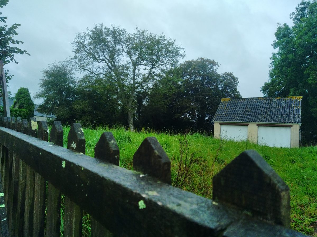 Journée pluvieuse … Journée quand même !