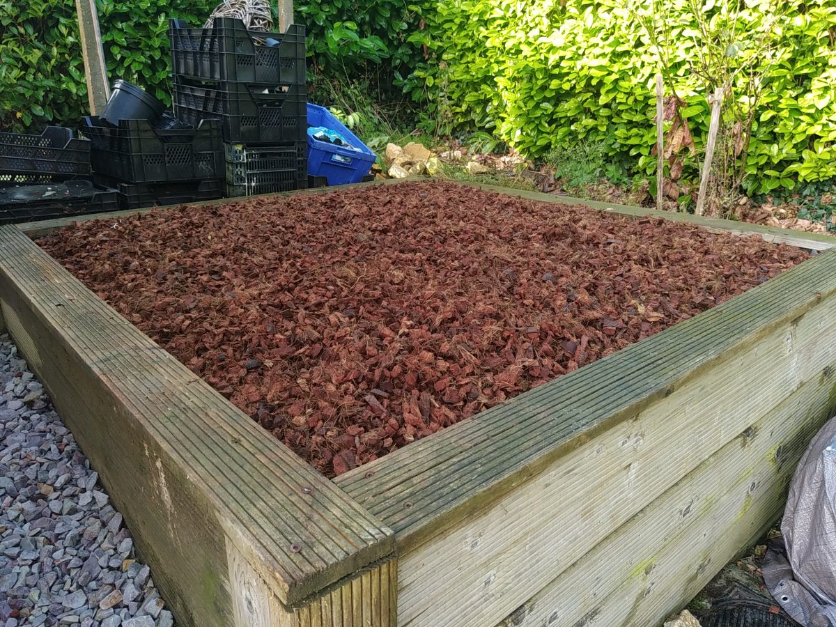 Filtre compact Coco hors sol