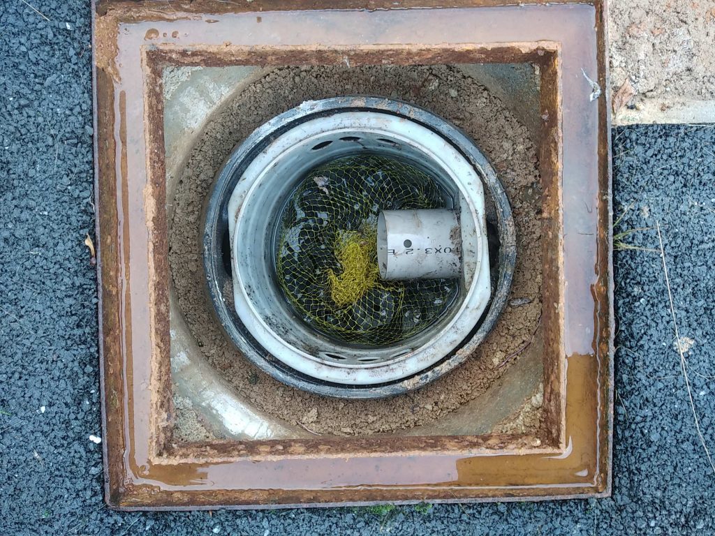 Extraction et nettoyage du préfiltre d'une Micro station d'épuration à culture fixée Phytoplus SBR 8000