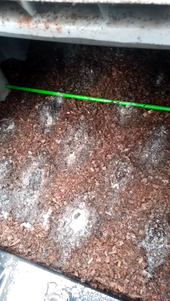 Points d'impact dans un filtre compact Ecoflo