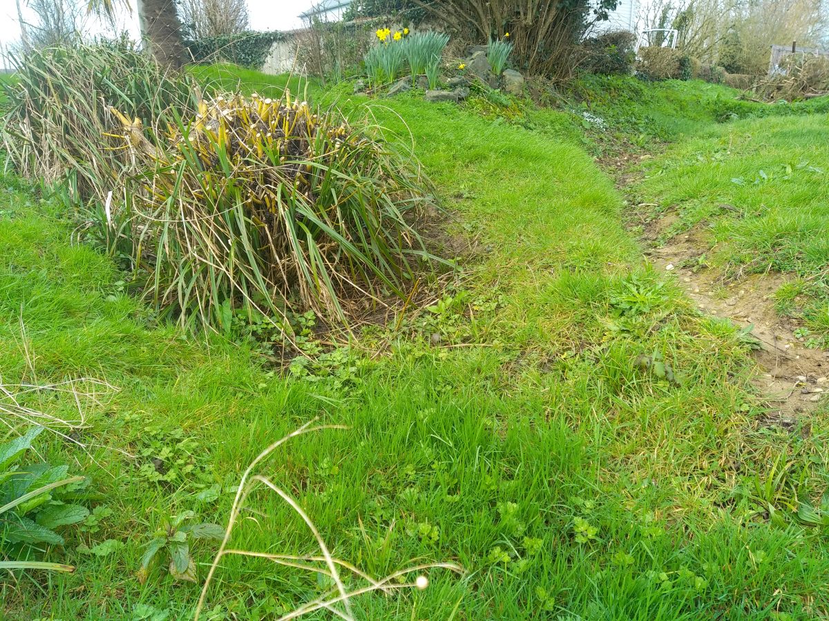 Gestion des eaux pluviales par noue d&rsquo;infiltration