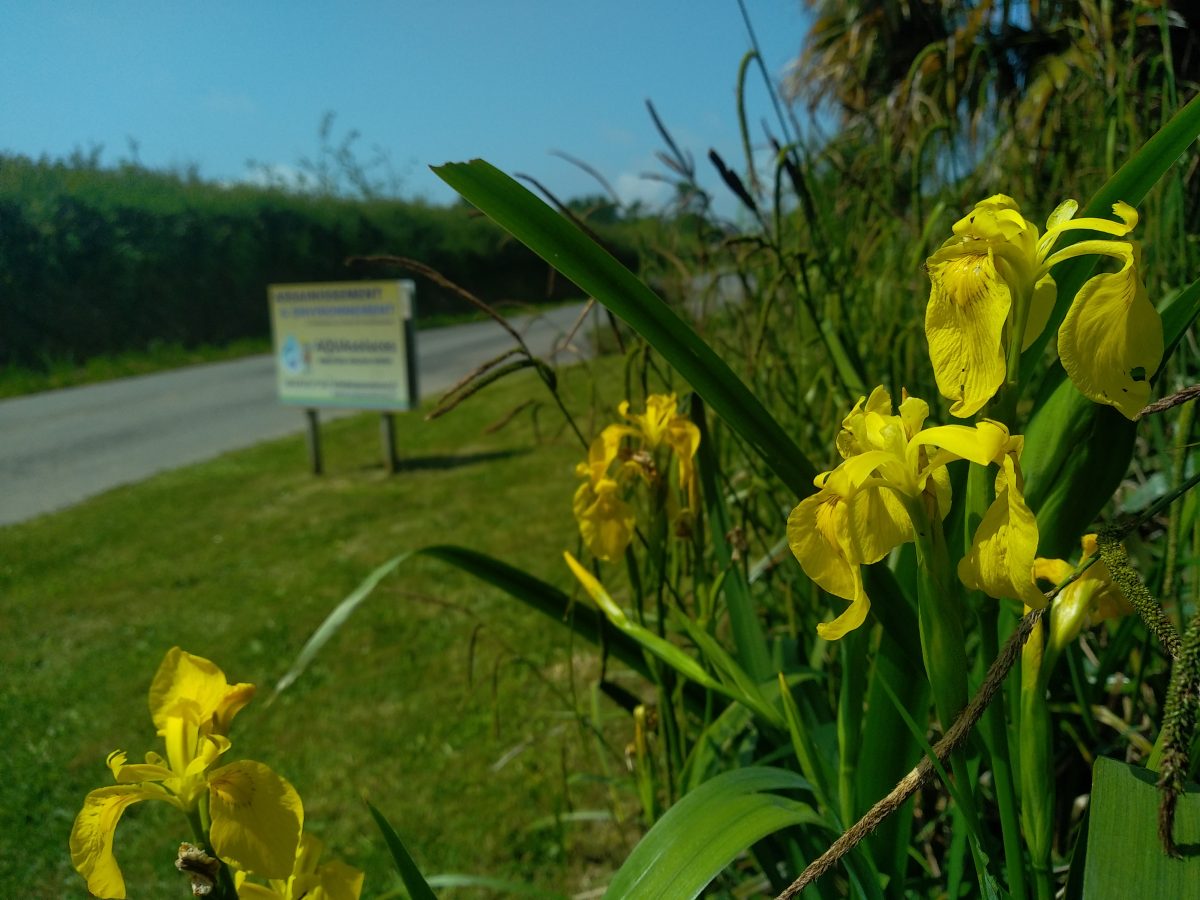Le printemps est arrivé chez AQUAsoluces