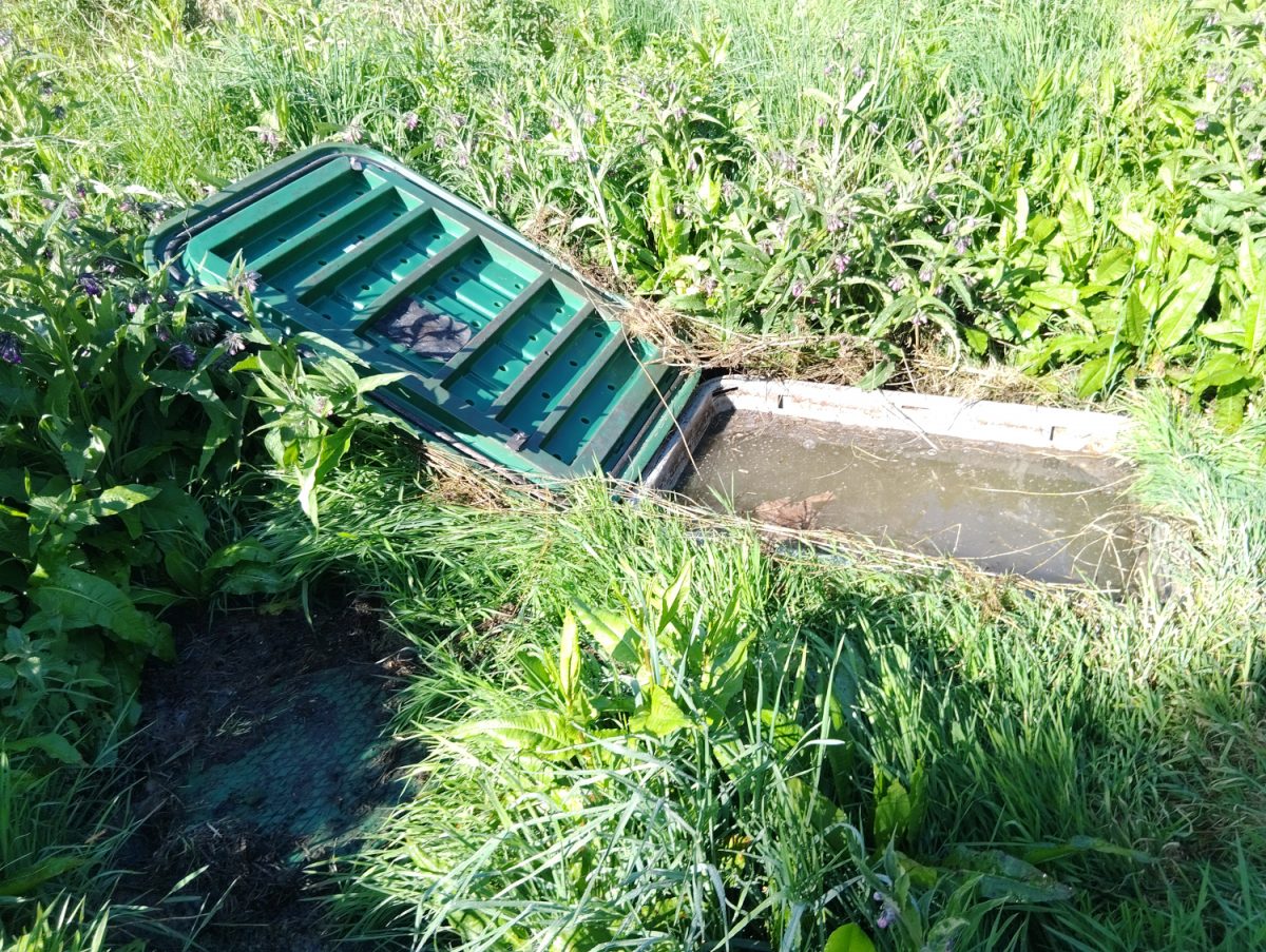 Un filtre coco qui baigne