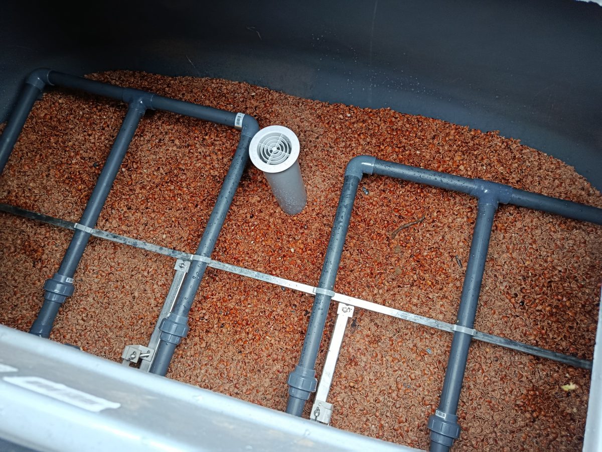 Des coquilles de noisettes concassées pour le traitement des eaux usées domestiques