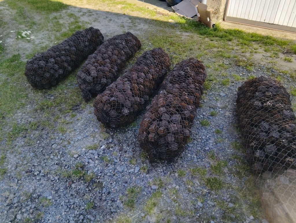 Extraction des filets d'Oxybee