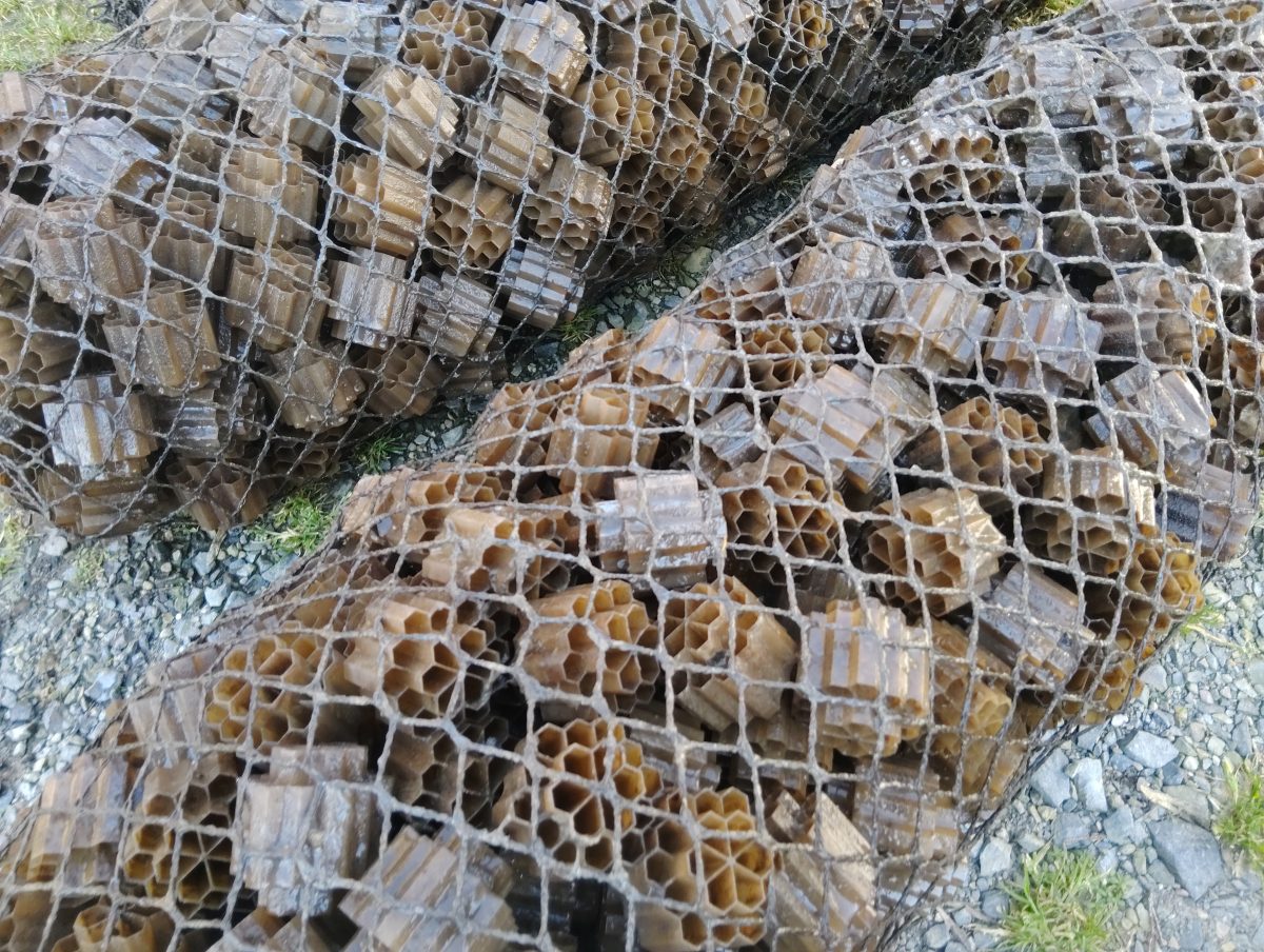 Des micro-stations pas conçues pour une maintenance aisée