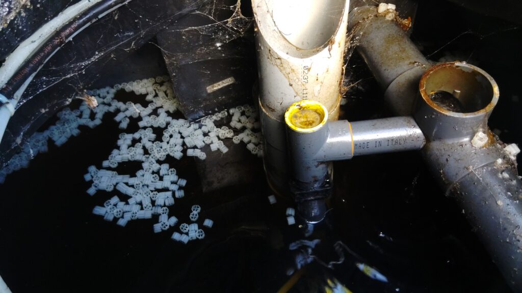 Largage de biobilles dans une micro-station SEBICO AQUAmeris