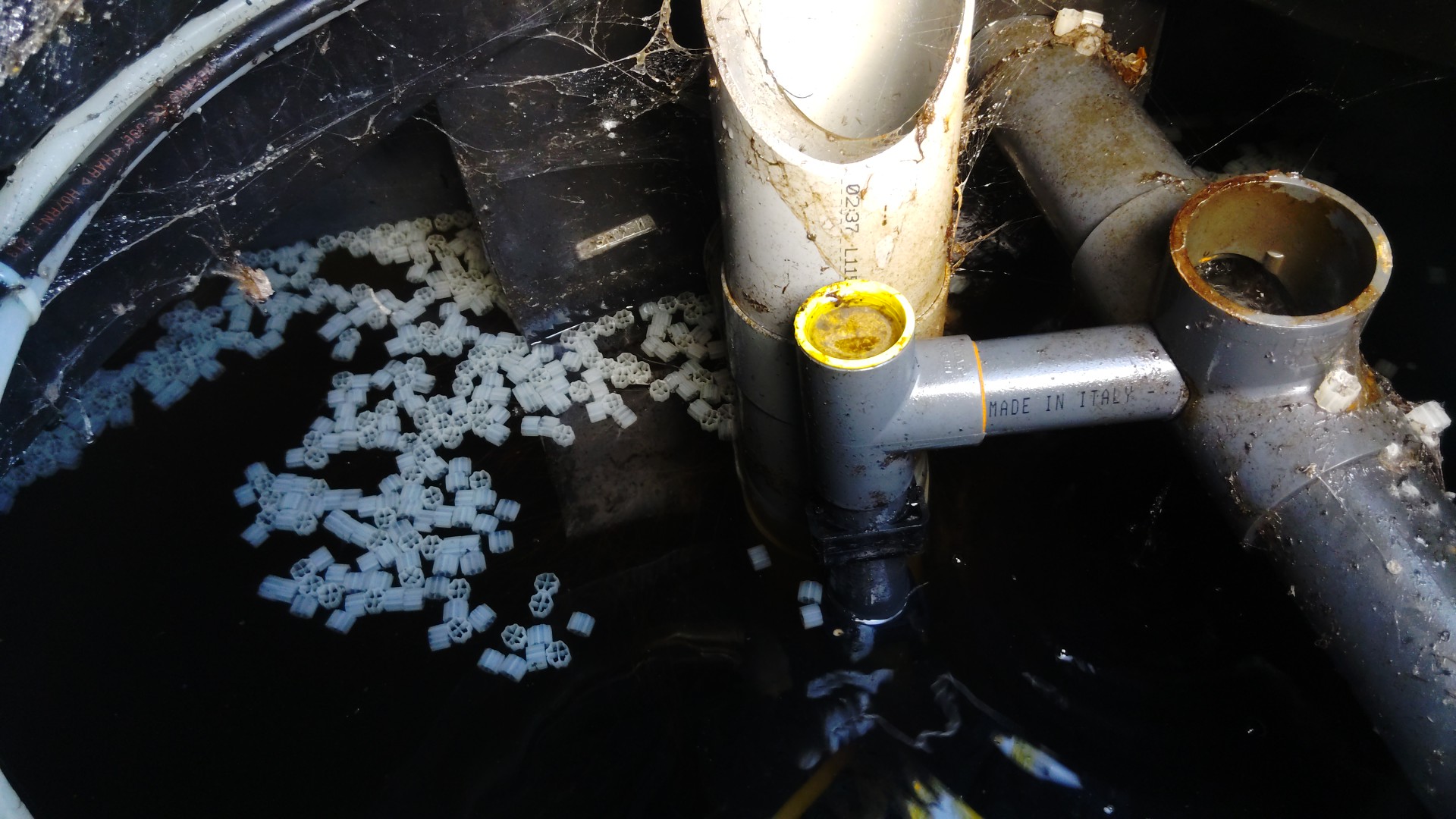 Des bio-billes, toujours des bio-billes ...